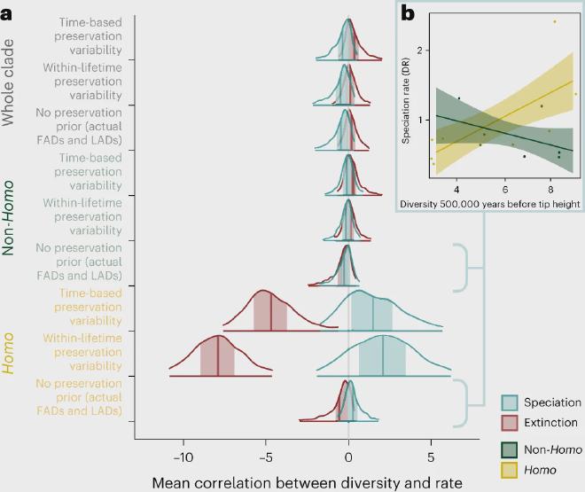 <strong>Una relación divergente entre tasas macroevolutivas y diversidad de especies en Homo</strong>