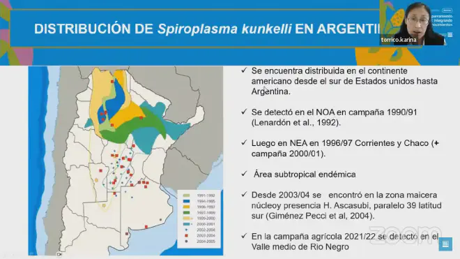 Distribución, en Argentina, de spiroplasma kunkelii o espiroplasma del achaparramiento del maí