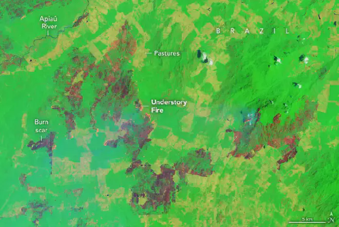 La imagen en falso color muestra un incendio en el <a href="https://es.wikipedia.org/wiki/Sotobosque"   target="_blank">
    sotobosque</a> que ardió ampliamente en la selva tropical (verde) después de escapar de un pasto (amarillo) a lo largo de la carretera BR-432 cerca de Vila Nova Paraiso. Los frentes de fuego activos aparecen en color naranja y las áreas quemadas son de color marrón. La imagen fue adquirida por OLI en Landsat 8 el 23 de febrero de 2024.
